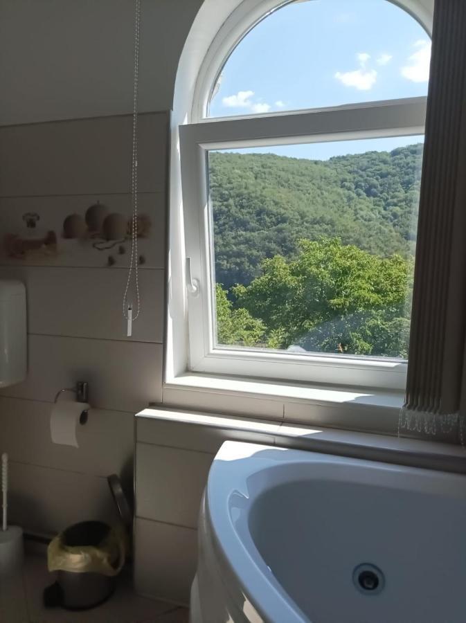 Casa Victoria Anina Hotel Kültér fotó