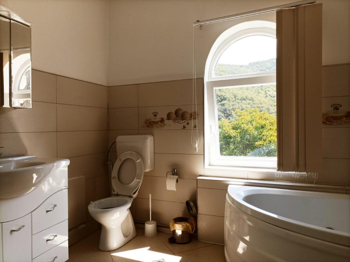 Casa Victoria Anina Hotel Kültér fotó