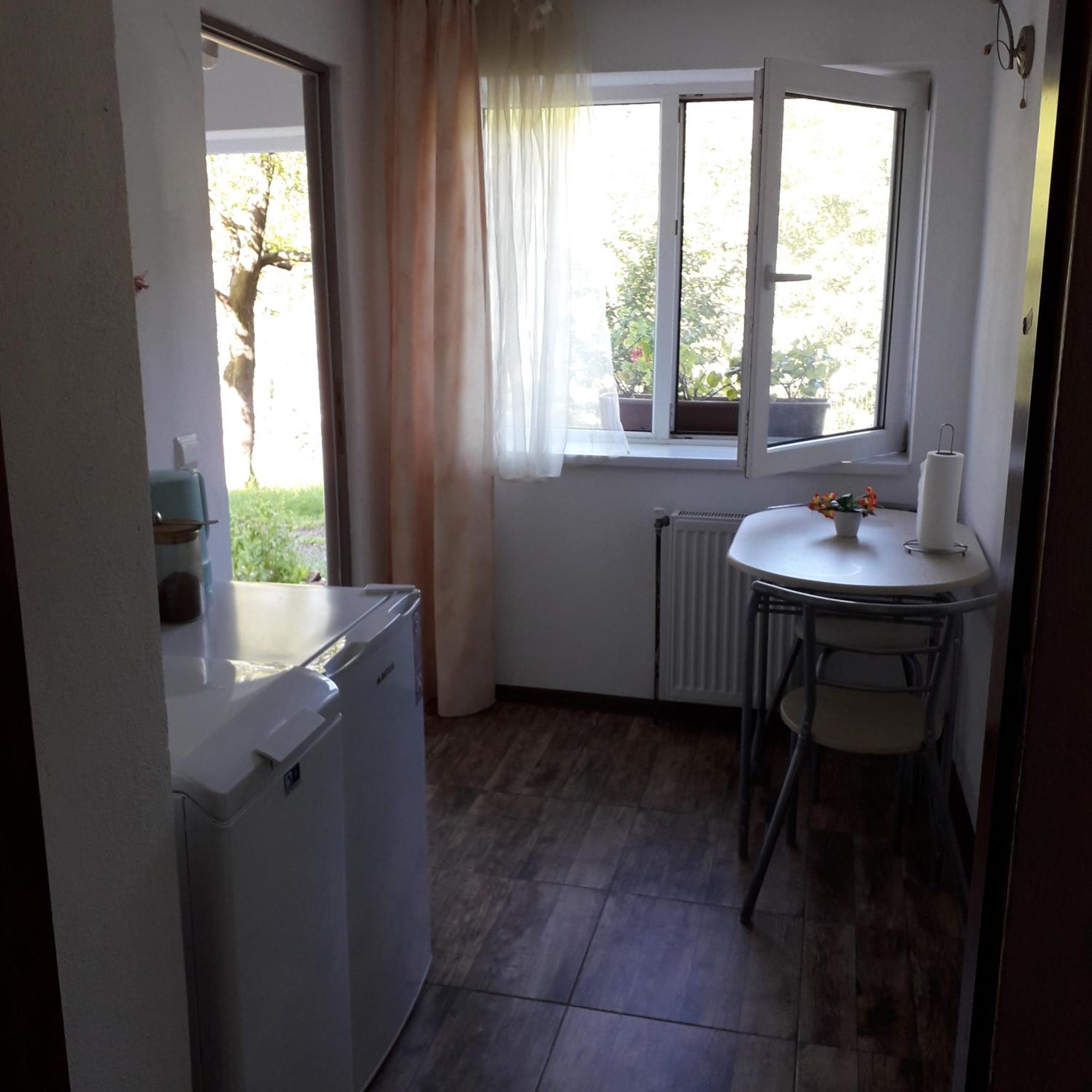 Casa Victoria Anina Hotel Kültér fotó